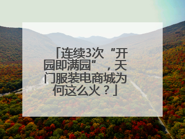 连续3次“开园即满园”，天门服装电商城为何这么火？