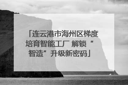 连云港市海州区梯度培育智能工厂 解锁“智造”升级新密码