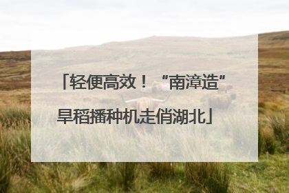 轻便高效！“南漳造”旱稻播种机走俏湖北