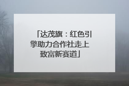 达茂旗：红色引擎助力合作社走上致富新赛道