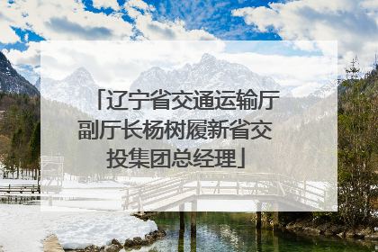 辽宁省交通运输厅副厅长杨树履新省交投集团总经理