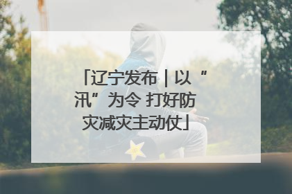 辽宁发布｜以“汛”为令 打好防灾减灾主动仗