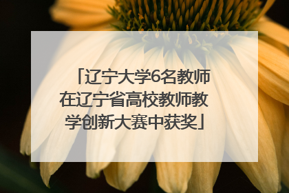 辽宁大学6名教师在辽宁省高校教师教学创新大赛中获奖
