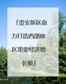 贵安新区奋力打造西部地区重要经济增长极