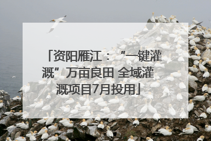 资阳雁江：“一键灌溉”万亩良田 全域灌溉项目7月投用