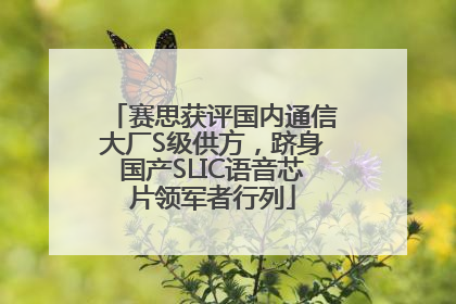 赛思获评国内通信大厂S级供方，跻身国产SLIC语音芯片领军者行列