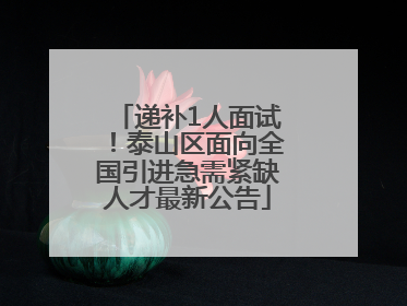 递补1人面试！泰山区面向全国引进急需紧缺人才最新公告