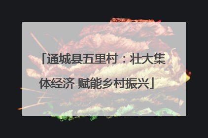 通城县五里村：壮大集体经济 赋能乡村振兴