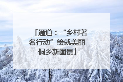 通道：“乡村著名行动”绘就美丽侗乡新图景