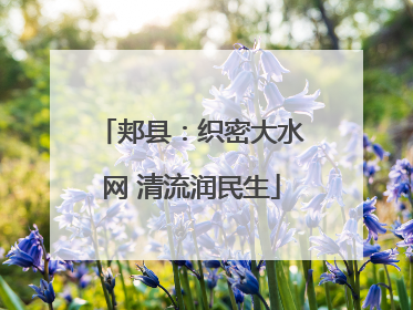 郏县：织密大水网 清流润民生