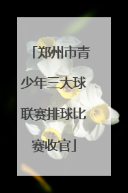 郑州市青少年三大球联赛排球比赛收官