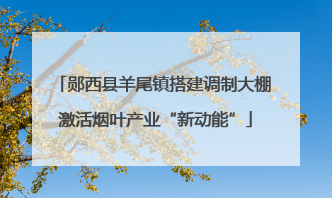 郧西县羊尾镇搭建调制大棚激活烟叶产业“新动能”
