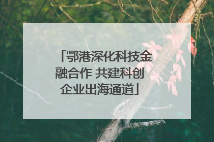 鄂港深化科技金融合作 共建科创企业出海通道