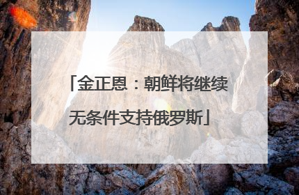 金正恩：朝鲜将继续无条件支持俄罗斯