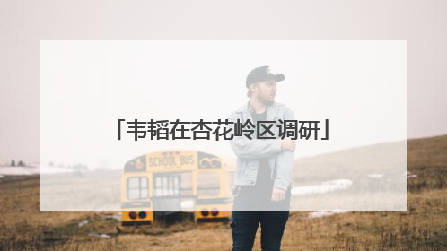 韦韬在杏花岭区调研