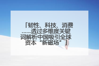 韧性、科技、消费……透过多维度关键词解析中国吸引全球资本“新磁场”