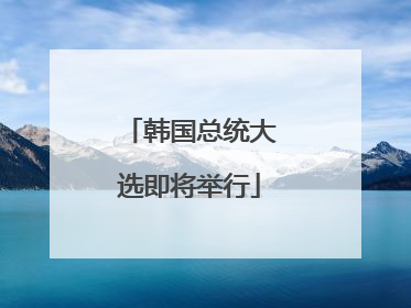 韩国总统大选即将举行