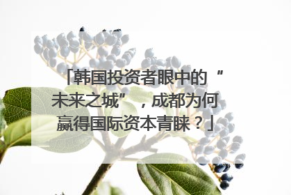 韩国投资者眼中的“未来之城”，成都为何赢得国际资本青睐？