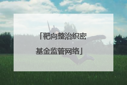靶向整治织密基金监管网络
