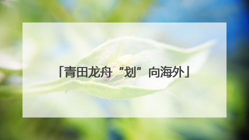 青田龙舟“划”向海外