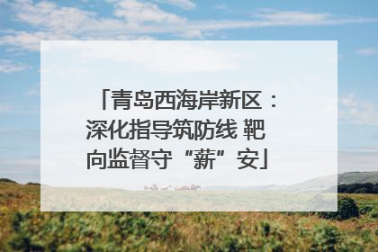 青岛西海岸新区：深化指导筑防线 靶向监督守“薪”安