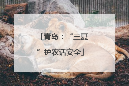 青岛：“三夏”护农话安全
