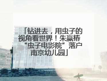 钻进去，用虫子的视角看世界！朱赢椿“虫子电影院”落户南京幼儿园