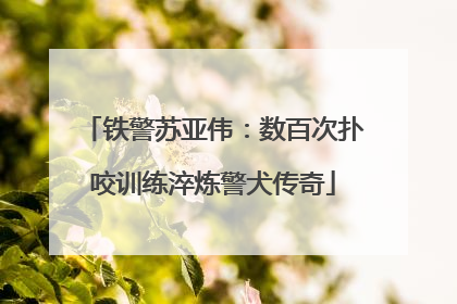 铁警苏亚伟：数百次扑咬训练淬炼警犬传奇