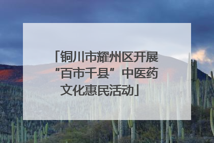 铜川市耀州区开展“百市千县”中医药文化惠民活动