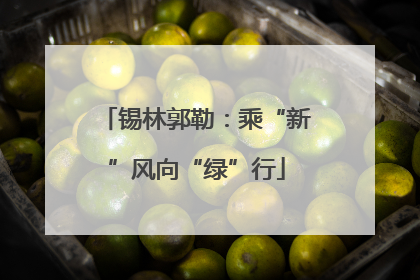 锡林郭勒：乘“新”风向“绿”行