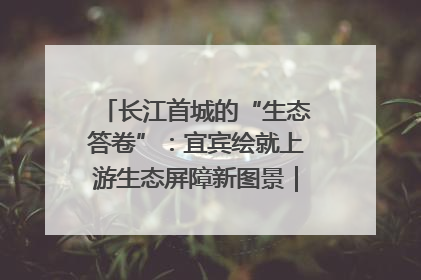 长江首城的“生态答卷”：宜宾绘就上游生态屏障新图景｜中华环保世纪行