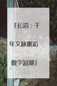 长清：千年文脉邂逅数字浪潮