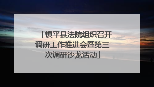 镇平县法院组织召开调研工作推进会暨第三次调研沙龙活动