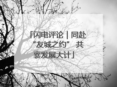 闪电评论｜同赴“友城之约” 共襄发展大计