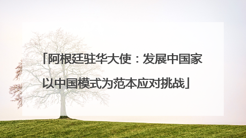 阿根廷驻华大使：发展中国家以中国模式为范本应对挑战