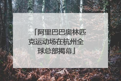 阿里巴巴奥林匹克运动场在杭州全球总部揭幕
