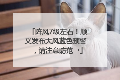 阵风7级左右！顺义发布大风蓝色预警，请注意防范→