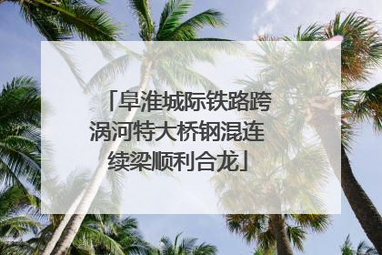 阜淮城际铁路跨涡河特大桥钢混连续梁顺利合龙