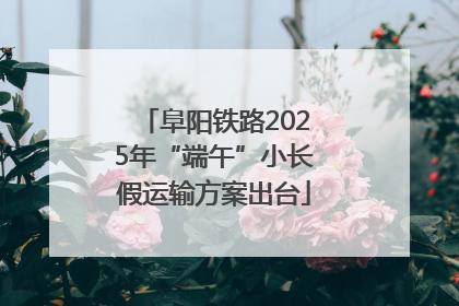 阜阳铁路2025年“端午”小长假运输方案出台