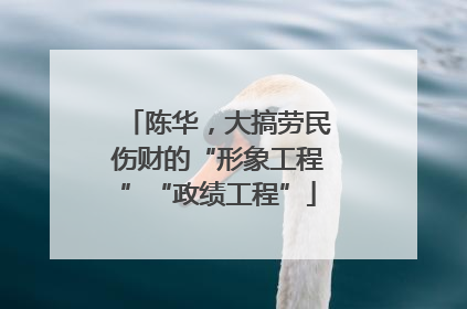 陈华，大搞劳民伤财的“形象工程”“政绩工程”