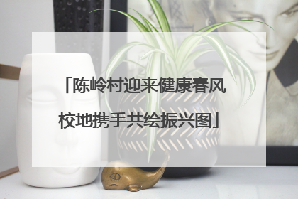 陈岭村迎来健康春风 校地携手共绘振兴图