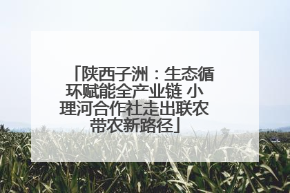 陕西子洲：生态循环赋能全产业链 小理河合作社走出联农带农新路径