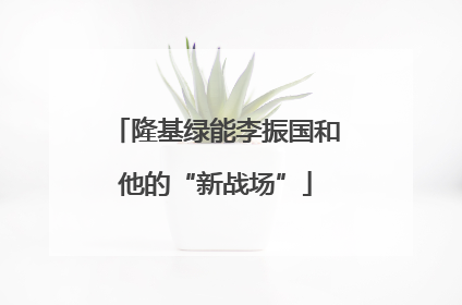 隆基绿能李振国和他的“新战场”