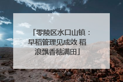 零陵区水口山镇：早稻管理见成效 稻浪飘香穗满田