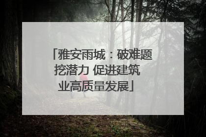 雅安雨城：破难题 挖潜力 促进建筑业高质量发展