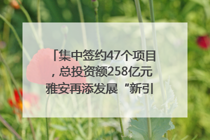 集中签约47个项目，总投资额258亿元 雅安再添发展“新引擎”｜数读西投