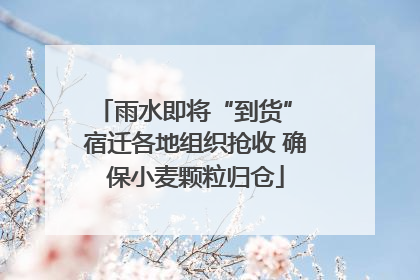 雨水即将“到货” 宿迁各地组织抢收 确保小麦颗粒归仓