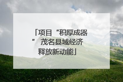 项目“积厚成器” 茂名县域经济释放新动能