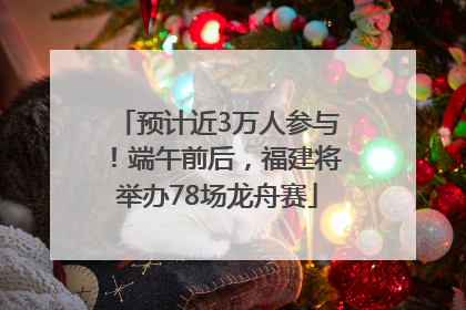 预计近3万人参与！端午前后，福建将举办78场龙舟赛