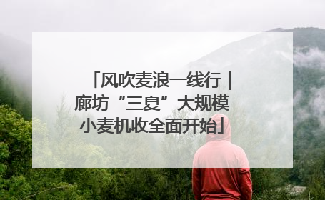 风吹麦浪一线行｜廊坊“三夏”大规模小麦机收全面开始